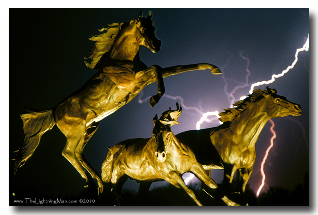 Lightning and horses color picture