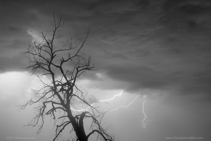 Lightning Tree Silhouette 29bw800s July 13th Colorado Rocky Mountain Front Range Lightning Thunderstorms