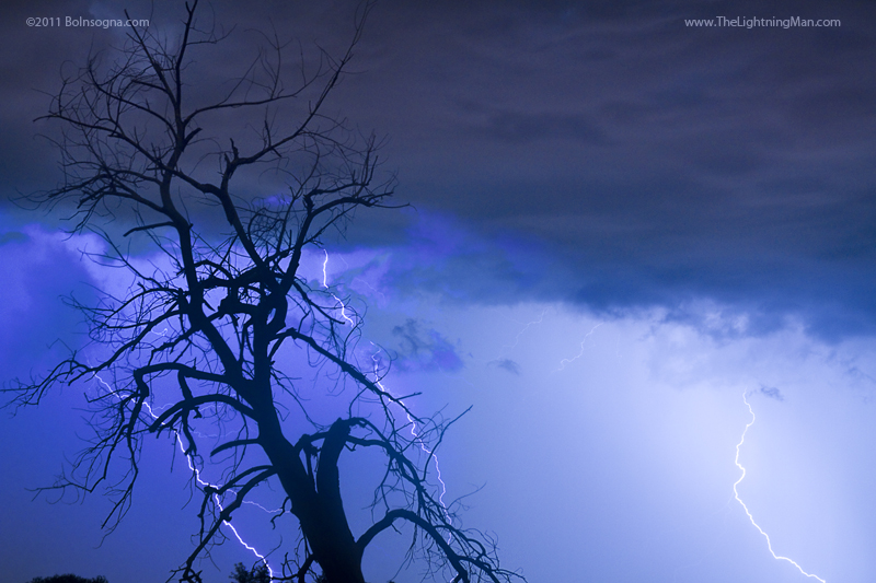 Lightning Tree Silhouette 38 800s July 13th Colorado Rocky Mountain Front Range Lightning Thunderstorms