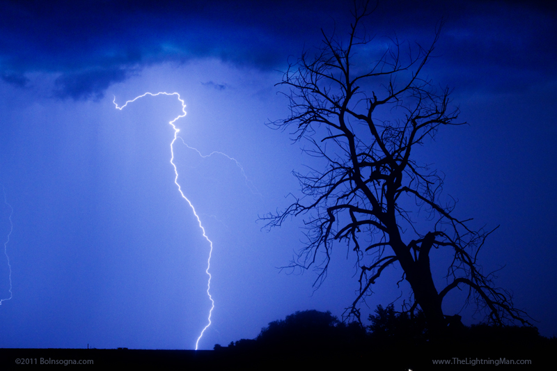 Lightning Tree Silhouette 800s July 13th Colorado Rocky Mountain Front Range Lightning Thunderstorms