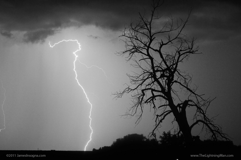 Lightning Tree Silhouette bwprint800s July 13th Colorado Rocky Mountain Front Range Lightning Thunderstorms