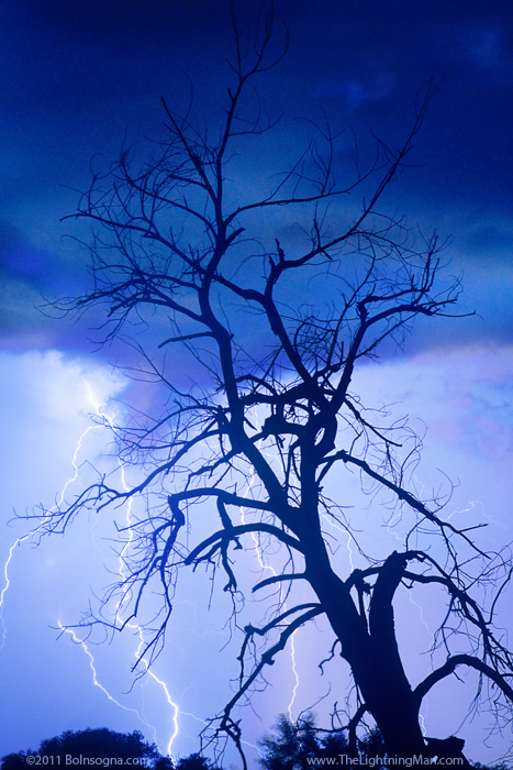 Lightning Tree Silhouette v700s July 13th Colorado Rocky Mountain Front Range Lightning Thunderstorms