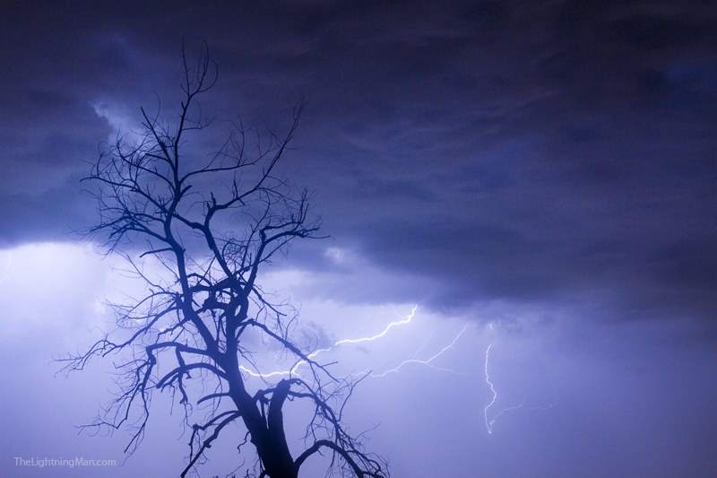 Tree Silhouette Lightning 29 800m July 13th Colorado Rocky Mountain Front Range Lightning Thunderstorms
